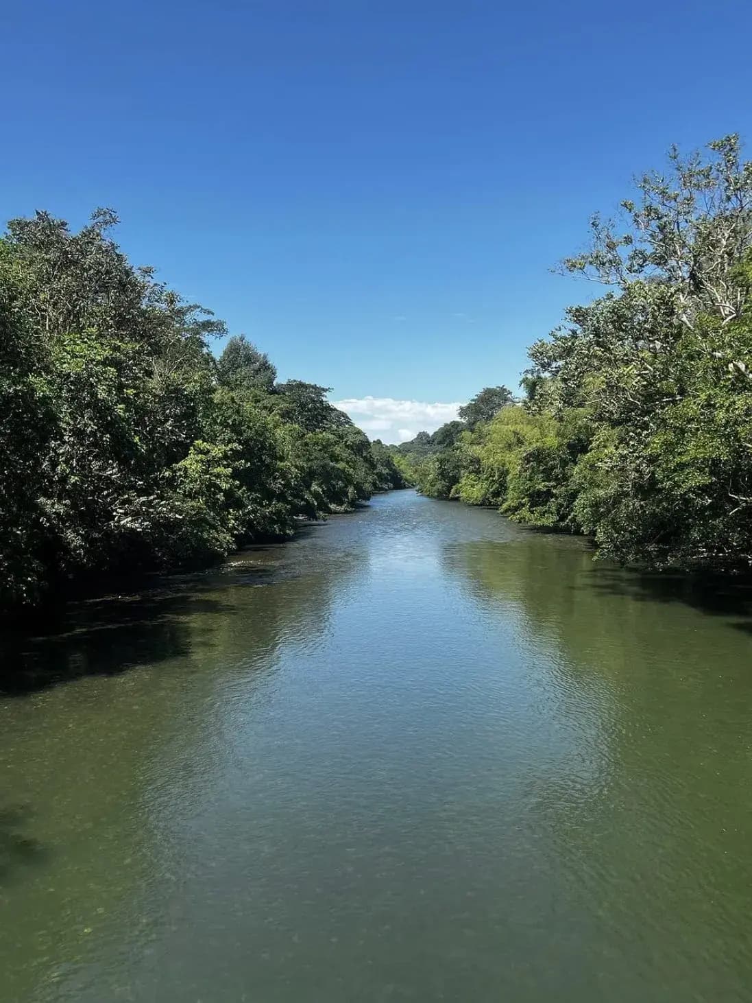 Río La Miel