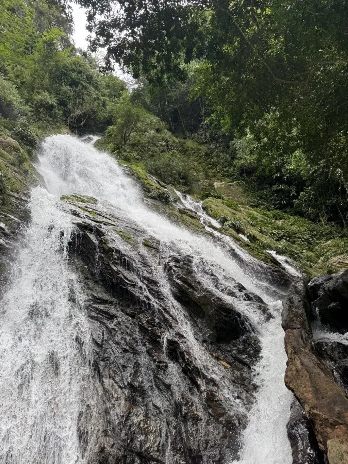 Pasadía Río La Miel