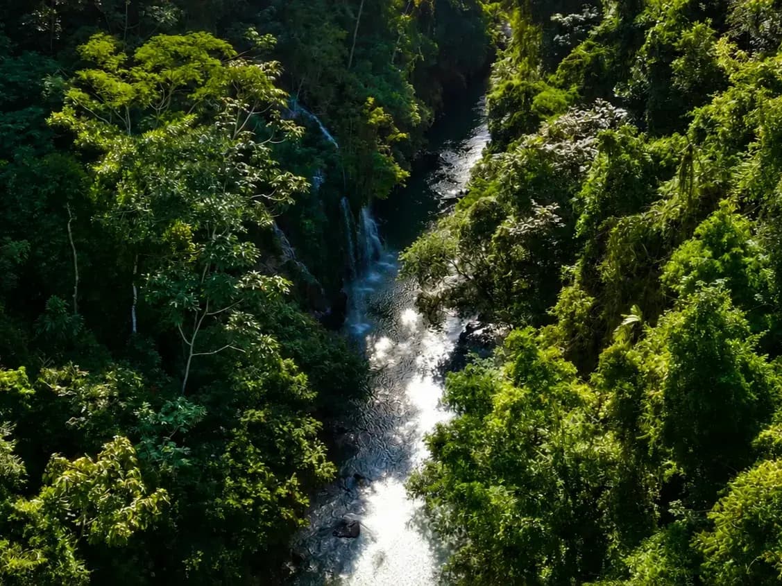 Río La Miel entre montañas en Norcasia
